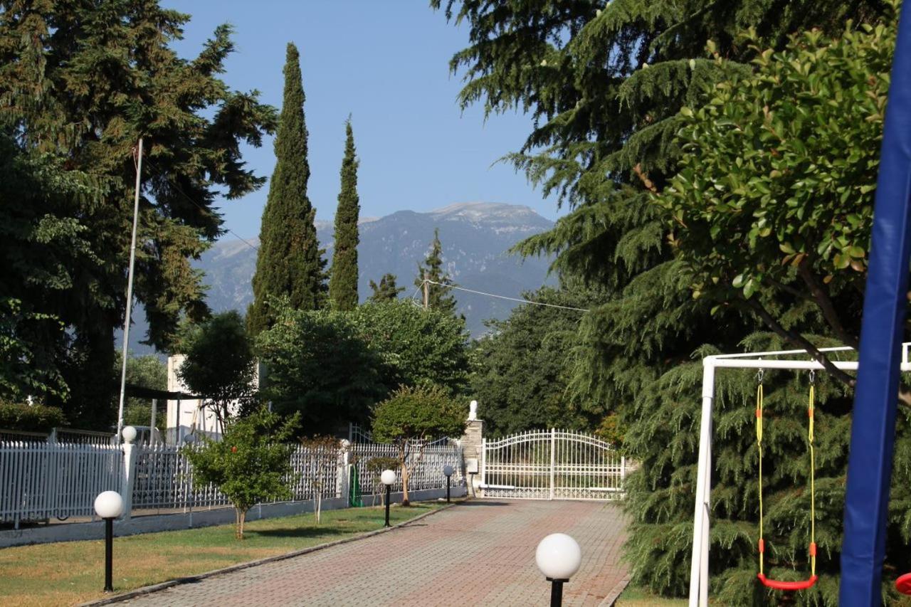 Sunrise Luxury Villa Pláka Litóhoru Kültér fotó