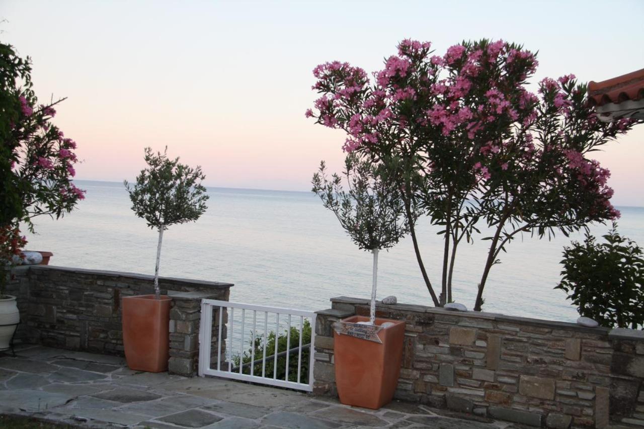 Sunrise Luxury Villa Pláka Litóhoru Kültér fotó
